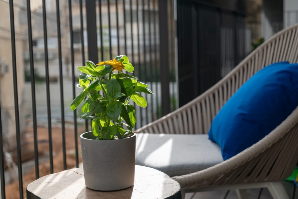 Elegant outdoor chairs on the terrace of the Three-Bedroom Apartment at master Shenkin Tel Aviv, providing a comfortable space to relax.